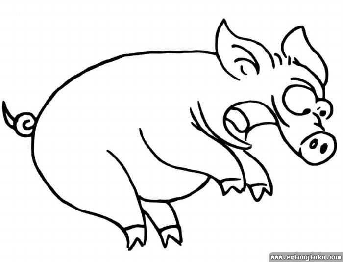 欢乐的小猪可爱简笔画图片