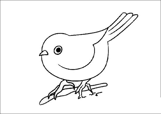 123小鸟简笔画天上图片