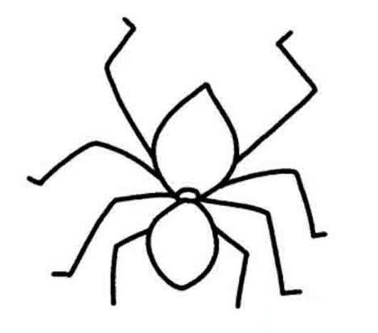 蜘蛛简笔画图片蜈蚣图片