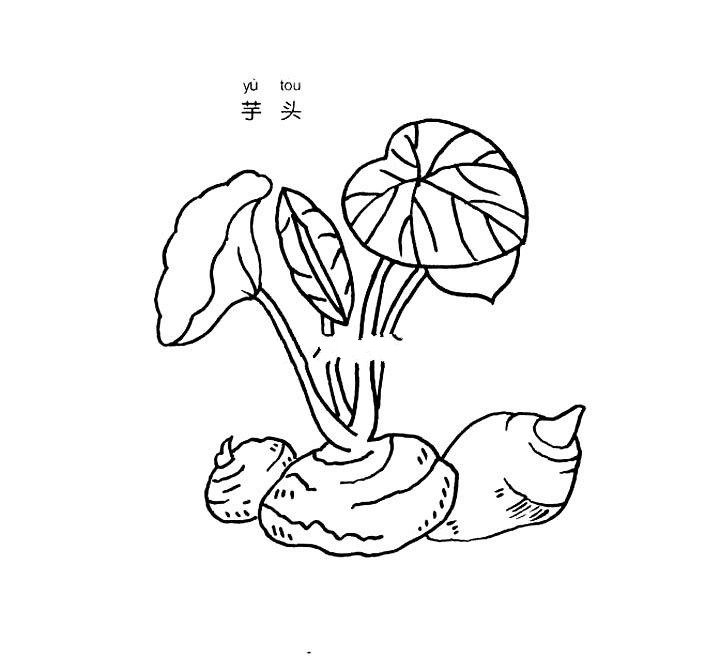 芋头简笔画