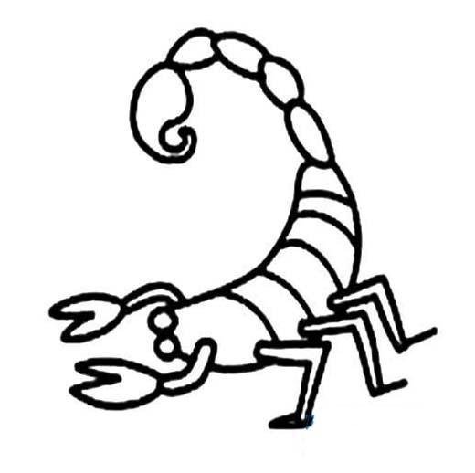 蝎子的简笔画凶猛图片