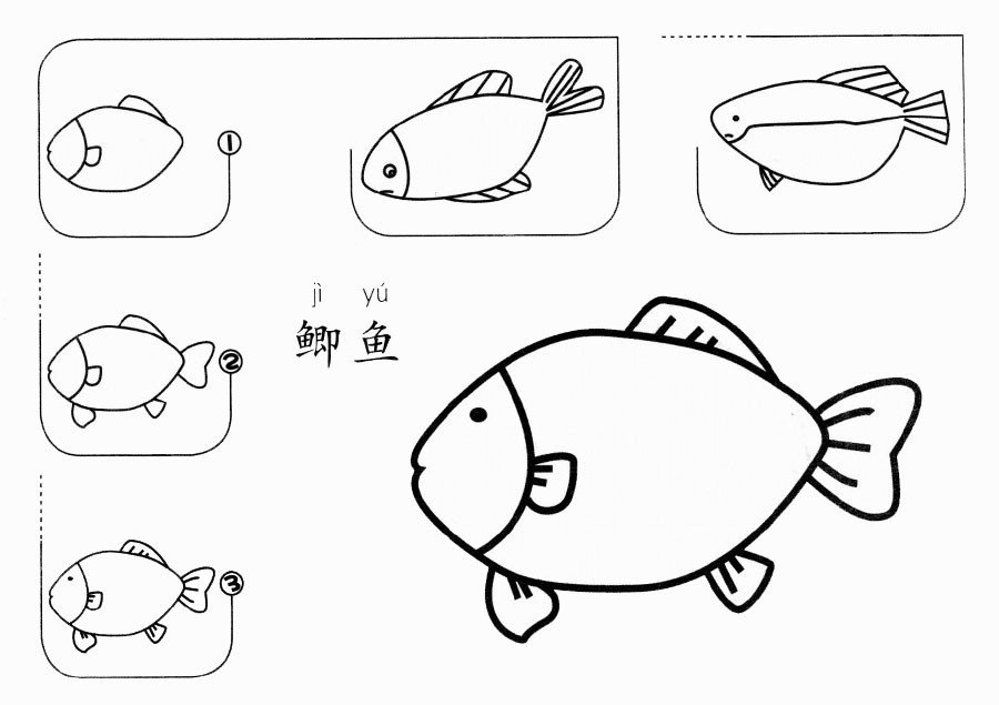 鲫鱼怎么画