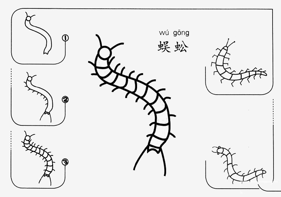 蜈蚣怎么画