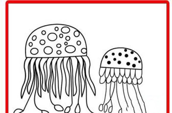 巨型管水母简笔画图片