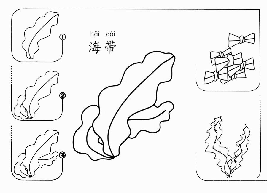 海带怎么画