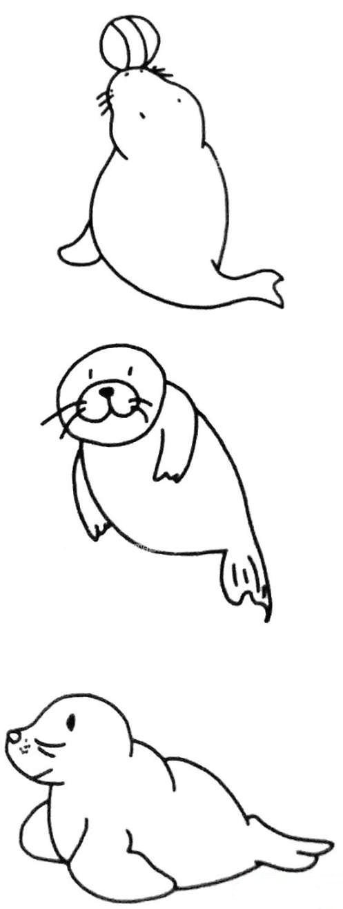 海狮玩球简笔画图片