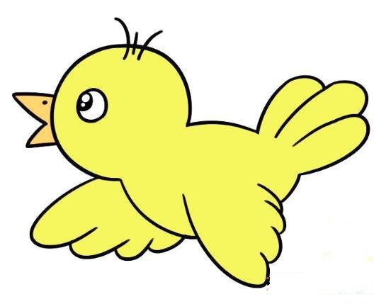 飞行的小鸟简笔画彩色图片