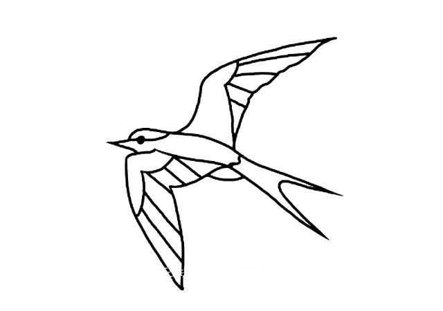 画燕子的简笔画飞行图片