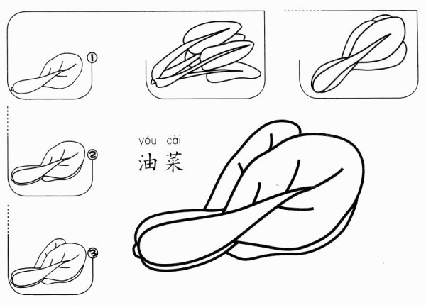 油菜怎么画