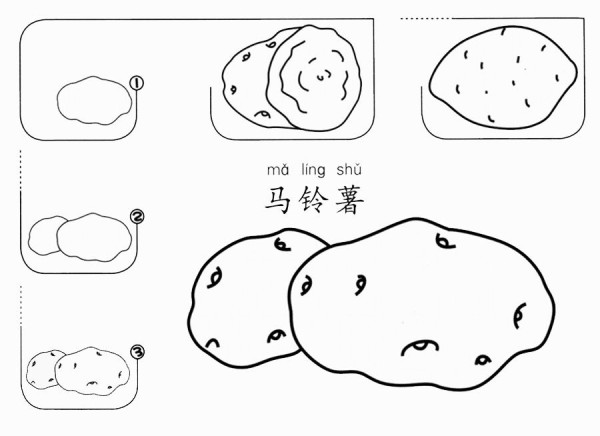 马铃薯怎么画