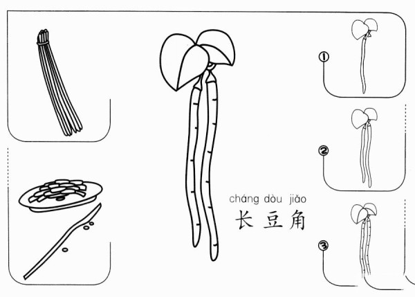 长豆角怎么画