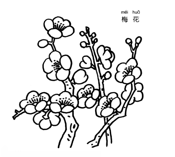 梅花简笔画