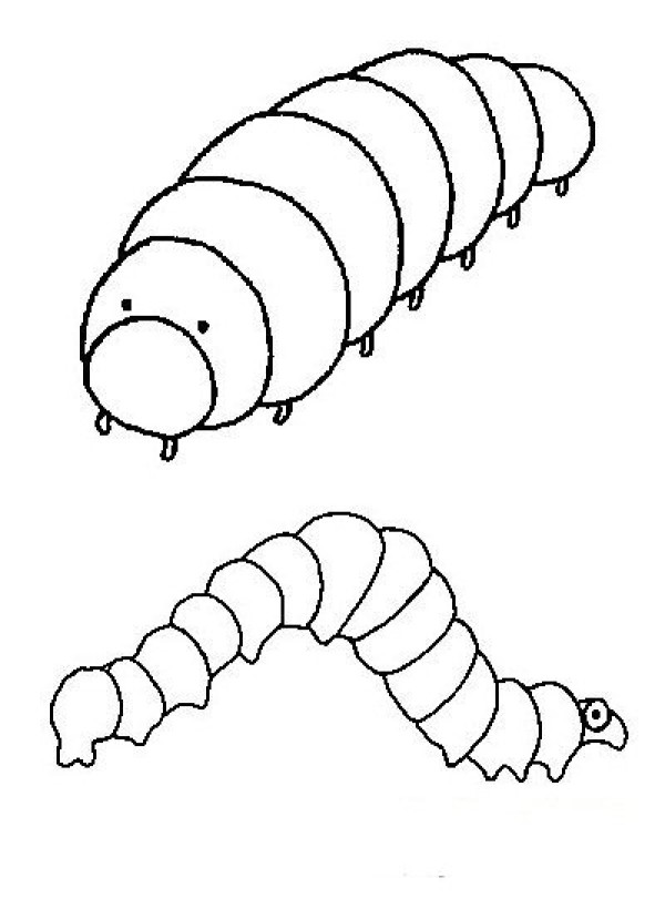 毛毛虫简笔画