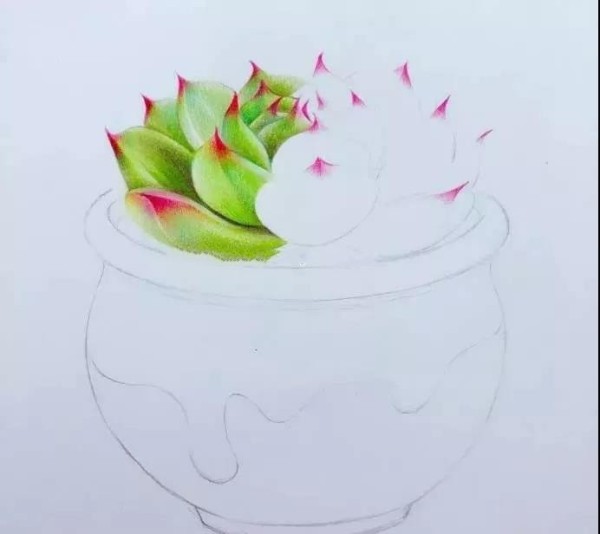 彩铅画~教你画多肉花器组合！